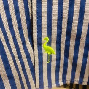 Blue and silver striped tailorbyrd dress shirt